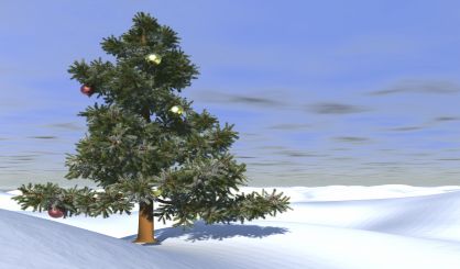 West Michigan farm sending Christmas tree to the White House this year
