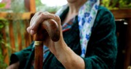 ¿Qué es la autofagia? El mecanismo clave para un envejecimiento saludable