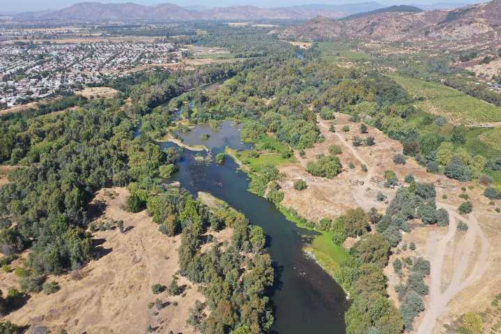 Corte de Apelaciones responsabiliza a la Municipalidad de Talca por falta de protección en humedal urbano y ordena crear ordenanza en 90 días