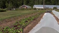 NH organic farmers discuss effects of cuts to USDA programs