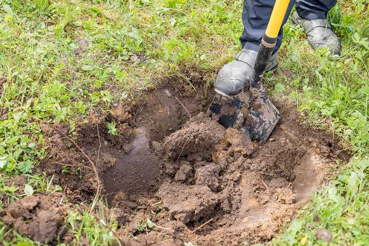 Call Before You Dig Day is Today