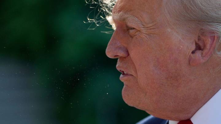 Trump Vs Cárteles: ¿Qué Grupos son Señalados como Organizaciones Terroristas por EUA?