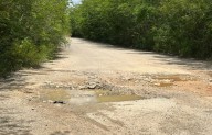 Solicitan atención a carretera rural en San Ramón XLuch