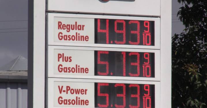 California pauses landmark oil profit penalty in bid to stabilize fuel supply