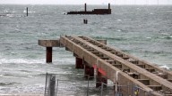 Se avecina cambio histórico: descubrimiento en las Islas Malvinas abriría un nuevo camino de estudio