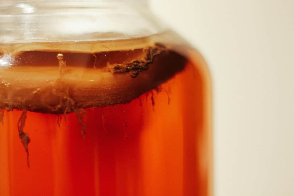 Fermentation Gone Wrong: When Homemade Kombucha or Kimchi Makes You Sick