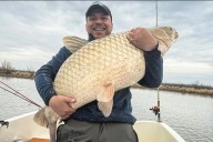 Pescadores capturaron una carpa gigante: “Sentimos un pique muy monstruoso”