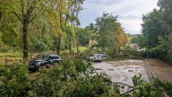 Tragedia en Francia: una mujer murió después de que se le cayera una rama encima en un camping
