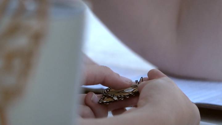 Fargo families tag monarch butterflies to track migration