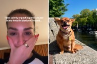 Woman Leaves Chihuahua for Work Trip in Mexico, Then She Checks Suitcase
