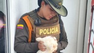 Rescatan a perrito amarrado en un balcón en Yopal: indignación ciudadana