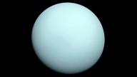 Webb Space Telescope spots new tiny moon around Uranus