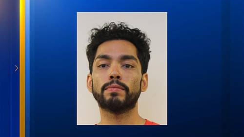 Man stabbed to death in his driveway during attempted car theft; suspect arrested