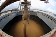 Mercado de granos. Los márgenes de la exportación y de la industria definen la tendencia del mercado