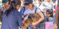 OlimpiaPets 2025: festival gratuito para mascotas y familias en el Parque de la Exposición