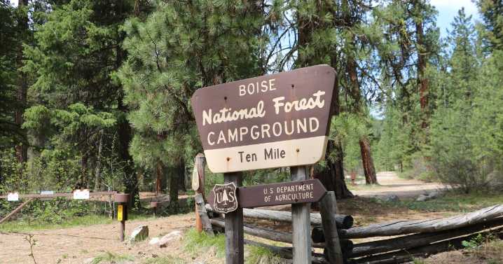 Idaho residents can now buy national forest firewood permits online