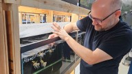 Sheridan Man Creates Tropical Fish Oasis In Landlocked Wyoming