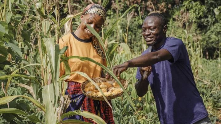 Las soluciones agrícolas que África necesita para garantizar la seguridad alimentaria