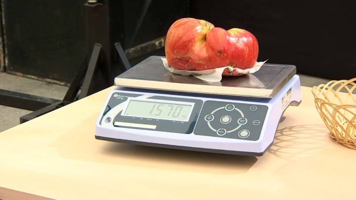 Miajadas celebra 40 años premiando el sabor y la originalidad de sus tomates More