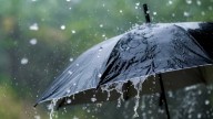 Tormenta tropical 'Fernand' se forma