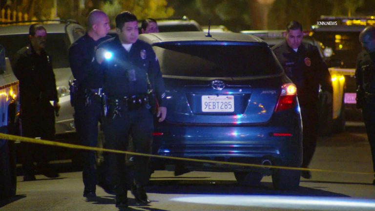 Person shot during South LA house party