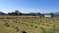 Problemas agrarios y de seguridad pendientes por resolverse en Hidalgo