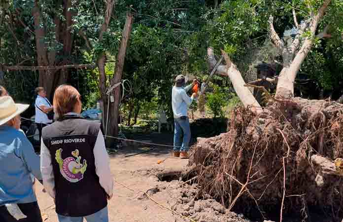 Autoridad apoya a las familias de Angostura