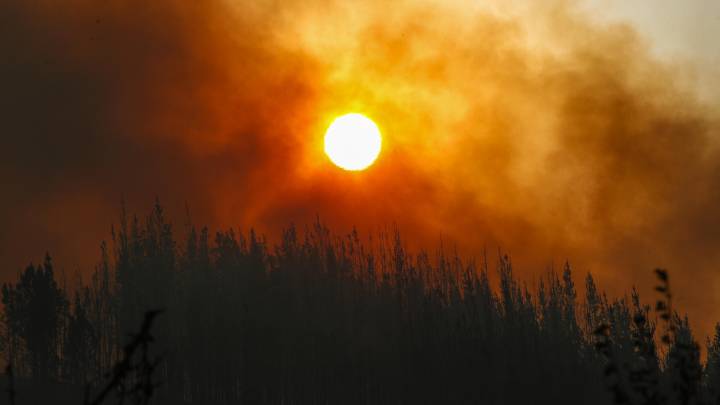 Catorce incendios graves siguen activos en España: el fuego entre Zamora y León se complica