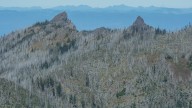 Federal agents arrest fire crew members at Washington wildfire