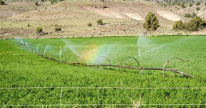 Centuries-old plan may help Utah, basin states decide Colorado River use