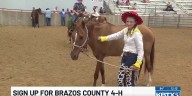 Brazos County 4-H opens 2025-2026 registration