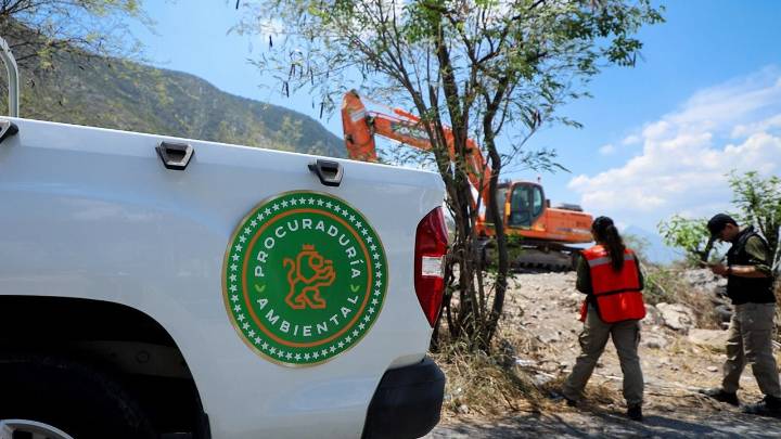 Suspende División Ambiental empresa de reciclaje de madera en Pesquería