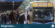 La Provincia confirmó que el transporte será gratuito en las elecciones provinciales y nacionales