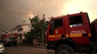 Última hora de los incendios en España, en directo: cuatro focos graves en Castilla y León y más de mil hectáreas arrasadas en Ourense