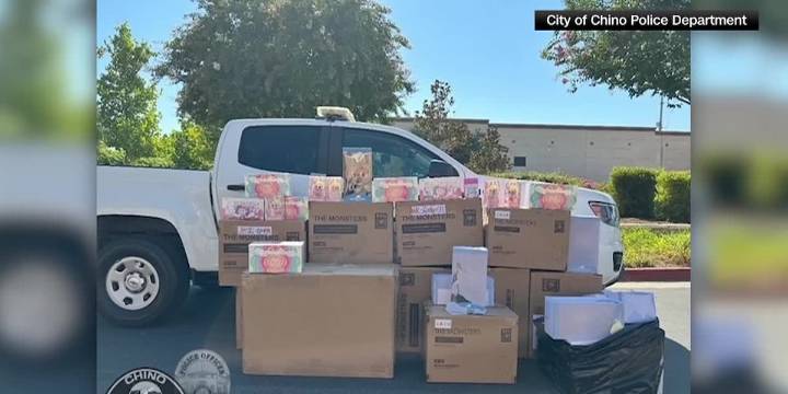 Police find $30K worth of Labubus dolls stolen from warehouse