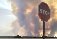 El incendio de Molezuelas de la Carballeda arrasa 31.500 hectáreas