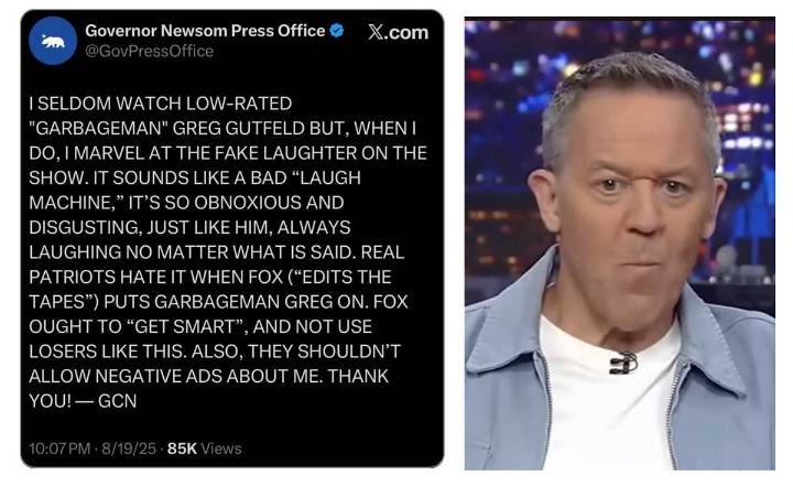 Fox's resident "comedian" gets savaged by actual funny person Gavin Newsom
