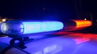 St. Petersburg woman arrested after dog dies from exploding firework