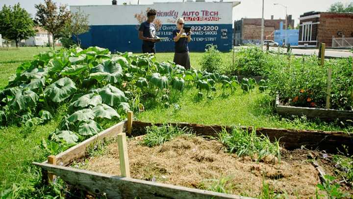 The Metro: Enthusiasm is high for Detroit’s composting pilot program