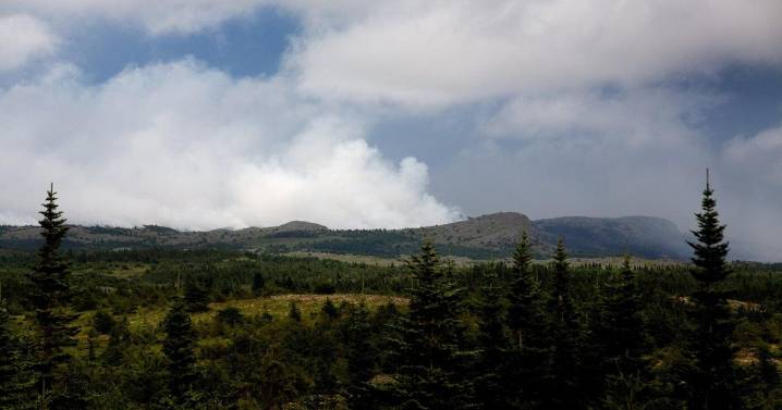Wildfire in Nova Scotia grows; cooler temperatures help firefighters in N.L.