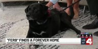 First Alert 4 helps find home for dog who loves sirens