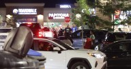 ‘Extremely effective’: Fines, charges handed out during Mississauga plaza injunction