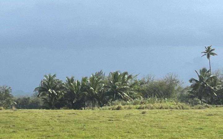 Otro día caluroso con polvo del Sahara y mala calidad el aire – NotiCel 