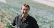Devon farmers fear for survival over Labour's tax plans