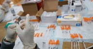 ‘This could adversely affect cancer vaccine research’: Experts worry about Kennedy’s mRNA vaccine cuts