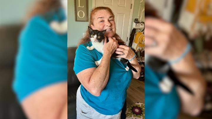 Anira, kitten born with twisted legs, finds her forever home