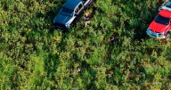 Burglary suspect arrested in a field by Hillsboro Outlets