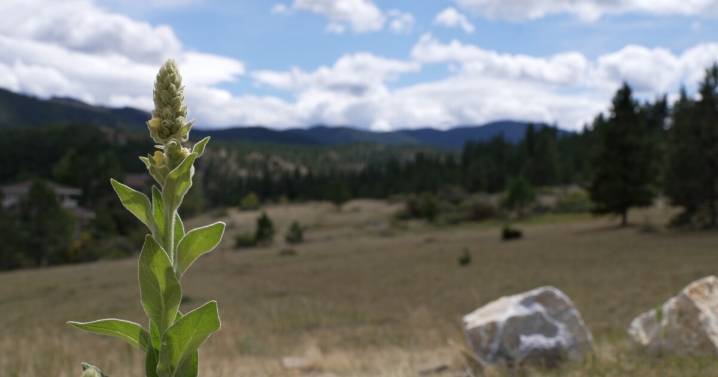 Lewis and Clark County Sheriff shares challenges of backcountry investigations