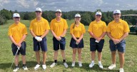 Bees bring heat against Polar Bears on the green