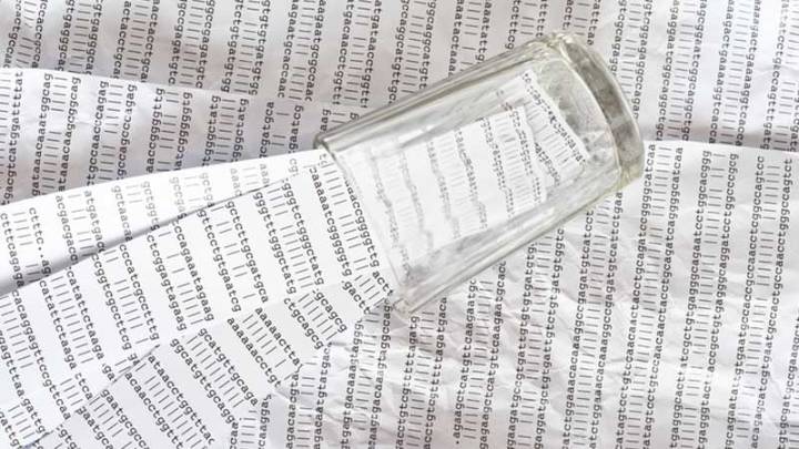 Patrones únicos de alelos del complejo mayor de histocompatibilidad en México
